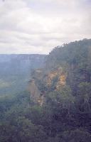 Blue Mountains 7.jpg  492x768  45 KB